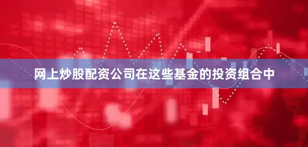 网上炒股配资公司在这些基金的投资组合中